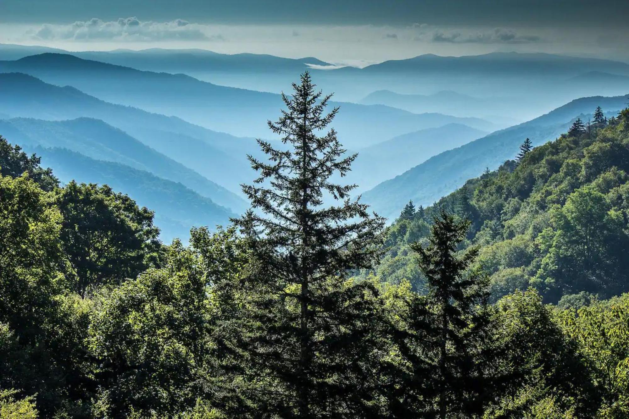 Views 1Br15Bath Pet-Friendly With Hot Tub & Bbq Pigeon Forge Exterior foto